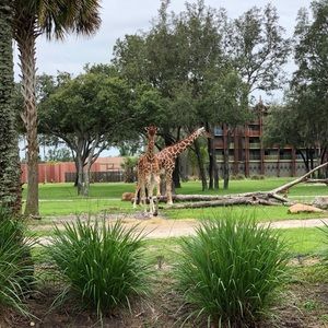 Meet your Posher, Bryan